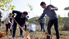 鼎升电力员工组织植树活动