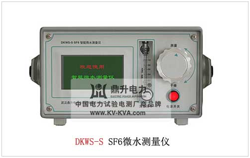 DKWS-S SF6微水测量仪